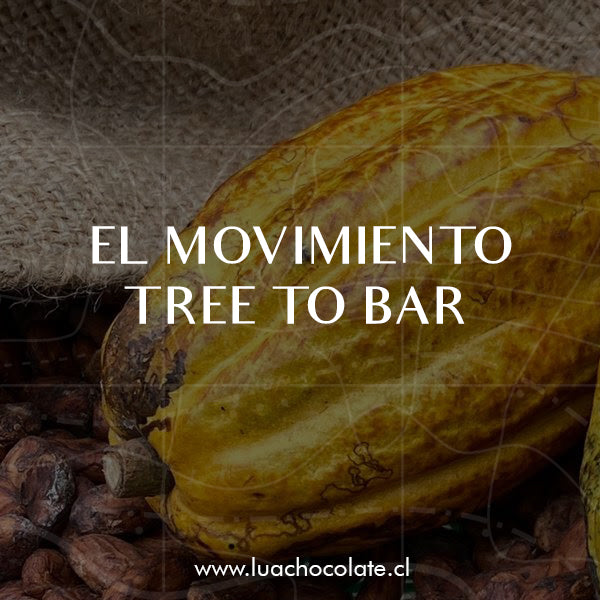 Una Tendencia en crecimiento, chocolates del árbol a la barra.