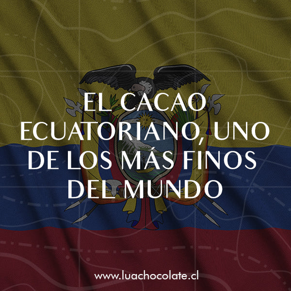 ¿Por qué el cacao ecuatoriano es de los más finos del mundo?
