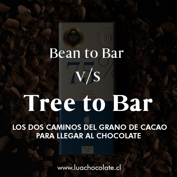 Tree to Bar: El Verdadero Chocolate Fino