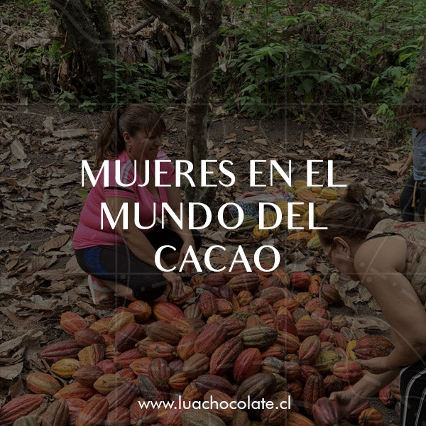 Las Mujeres en el mundo del cacao